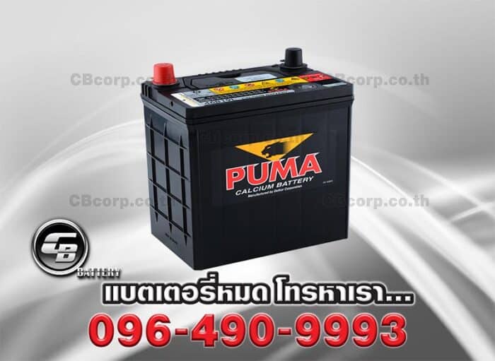 Puma Battery 46B19L SMF Per