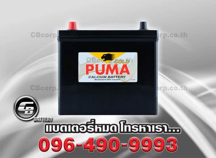 Puma Battery 46B24R SMF Front