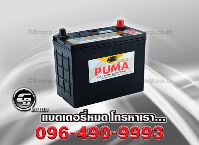 Puma Battery 46B24R SMF Per