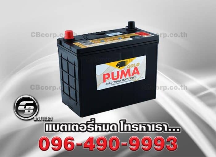 Puma Battery 50B24L SMF Per