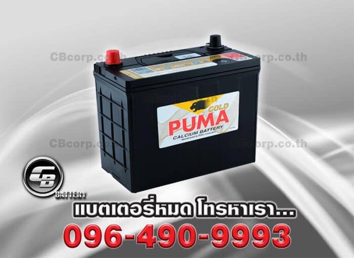 Puma Battery 65B24L SMF Per