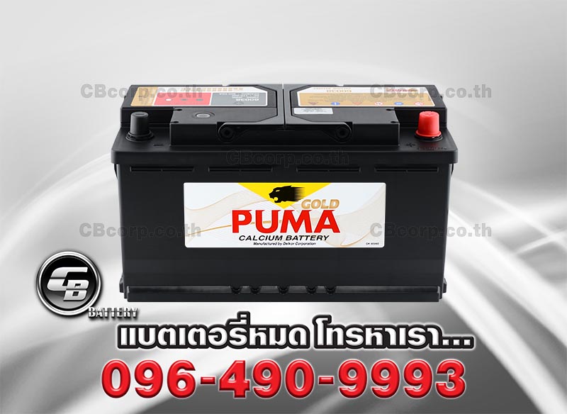puma gold 60038