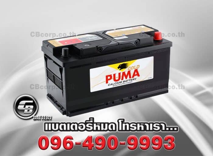 Puma DIN100 SMF 60038