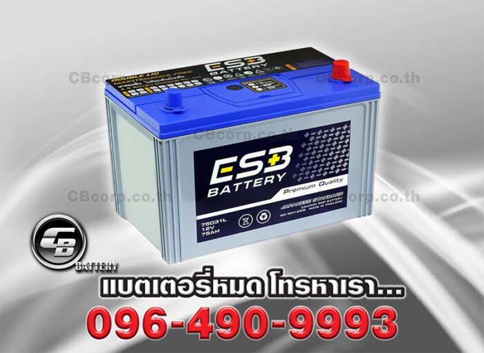 ESB Battery 135 DL Top